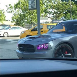 Meet your Posher, Winston